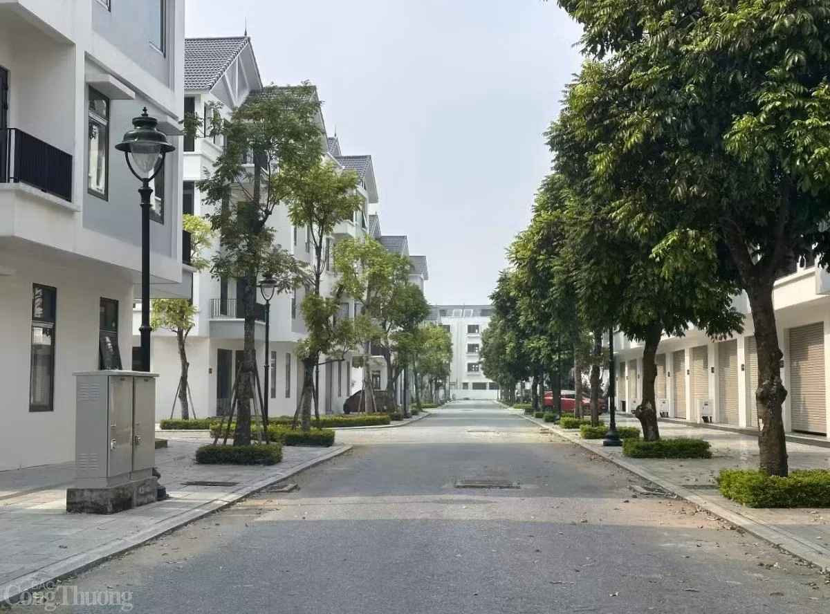 Các chuyên gia cho rằng, việc đánh thuế bất động sản thứ hai cần phù hợp với điều kiện của Việt Nam, ngăn chặn việc đầu cơ chứ không cản trở cơ hội mua nhà của người dân. Ảnh: Đ.N