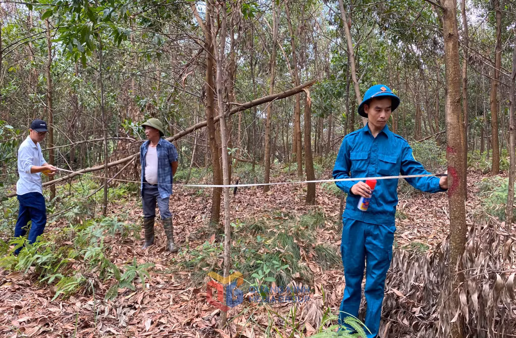 Nhiều địa phương đi thực địa kiểm đếm thiệt hại do bão , anh giang