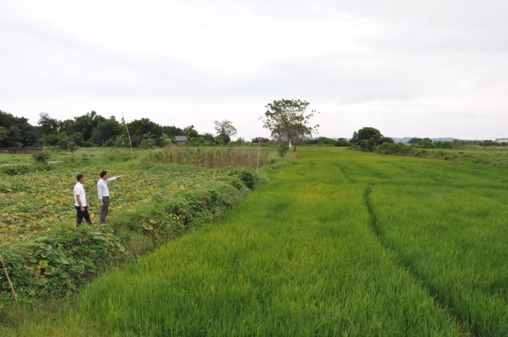 Các cơ quan chức năng huyện Hải Hà kiểm tra các khu đất trong diện bồi thường GPMB trên địa bàn. Ảnh: Hữu Việt