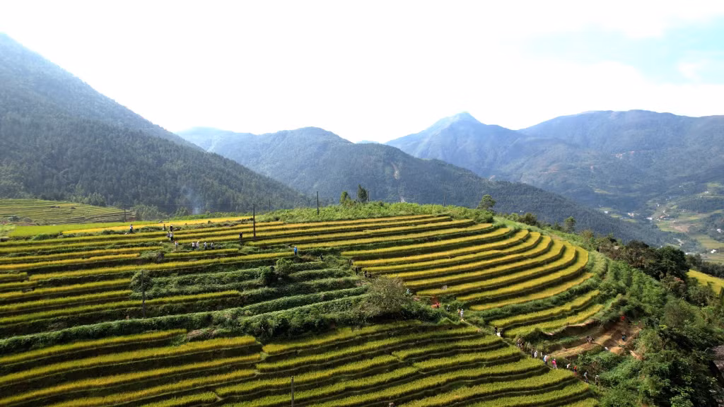 Đoàn fammtrip trải nghiệm trekking tại xã Đồng Văn, huyện Bình Liêu.