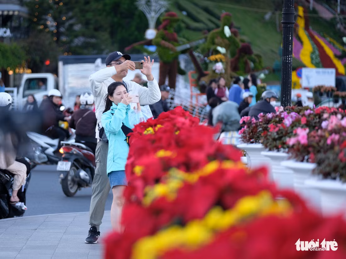 Ban tổ chức Festival hoa Đà Lạt 2024 cho biết sẽ thực hiện không gian hoa ngoài trời đặc sắc hơn các năm trước - Ảnh: M.V.