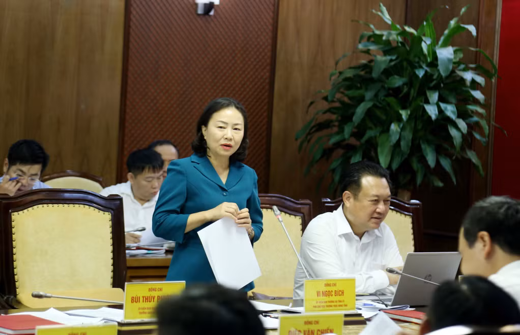 Đồng chí Vi Ngọc Bích, Phó Chủ tịch Thường trực HĐND tỉnh, báo cáo tại hội nghị.