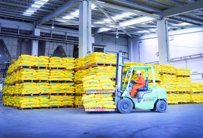 Đáp ứng nhu cầu phân bón trong nước và xuất khẩu. (Ảnh: PV/Vietnam+)