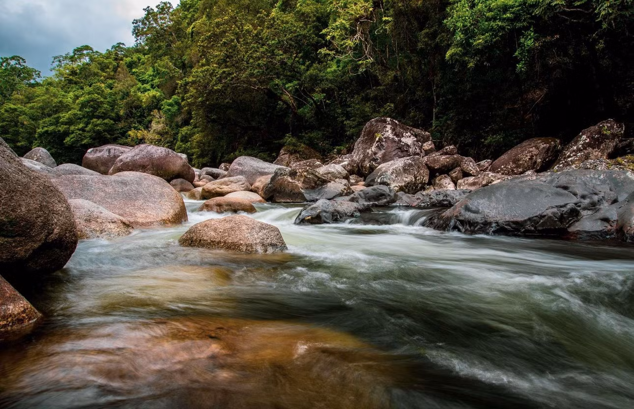Hẻm núi Mossman, Queensland, Úc đã hình thành trong hơn 180 triệu năm. Điều này khiến nơi đây trở thành rừng mưa nhiệt đới lâu đời nhất thế giới, chứa đầy những di tích thiên nhiên đáng kinh ngạc, động vật hoang dã phong phú...