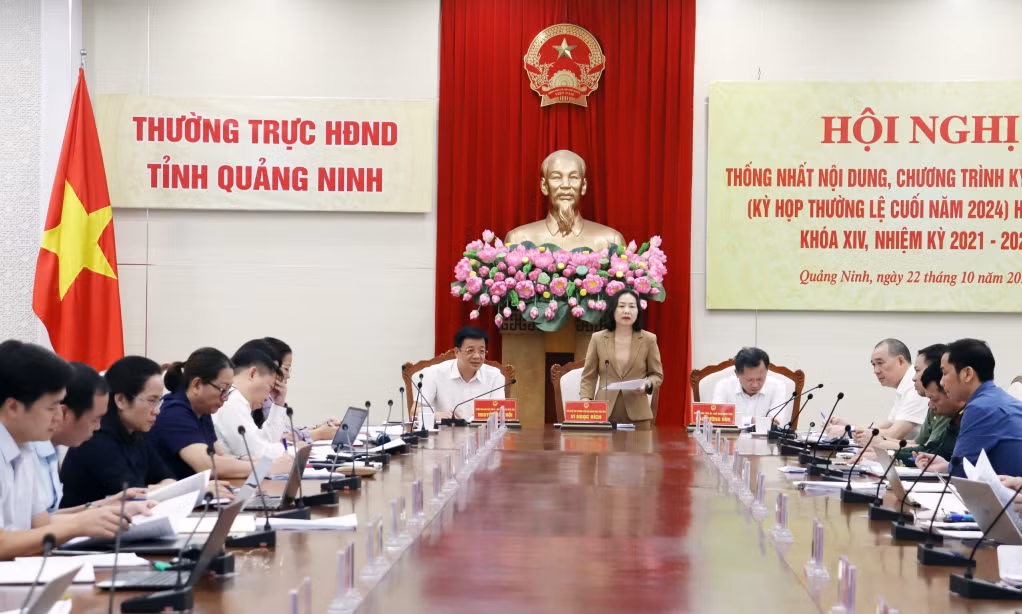 Đồng chí Vi Ngọc Bích, Phó Bí thư Đảng đoàn, Phó Chủ tịch Thường trực HĐND tỉnh chủ trì hội nghị.