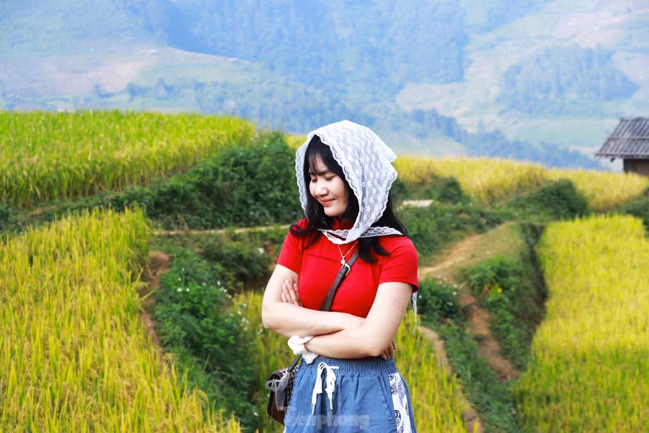 Trong ánh nắng rực rỡ, không gian hùng vỹ, trữ tình, các bạn trẻ say mê chụp lại khoảnh khắc tuyệt đẹp của mùa lúa chín.