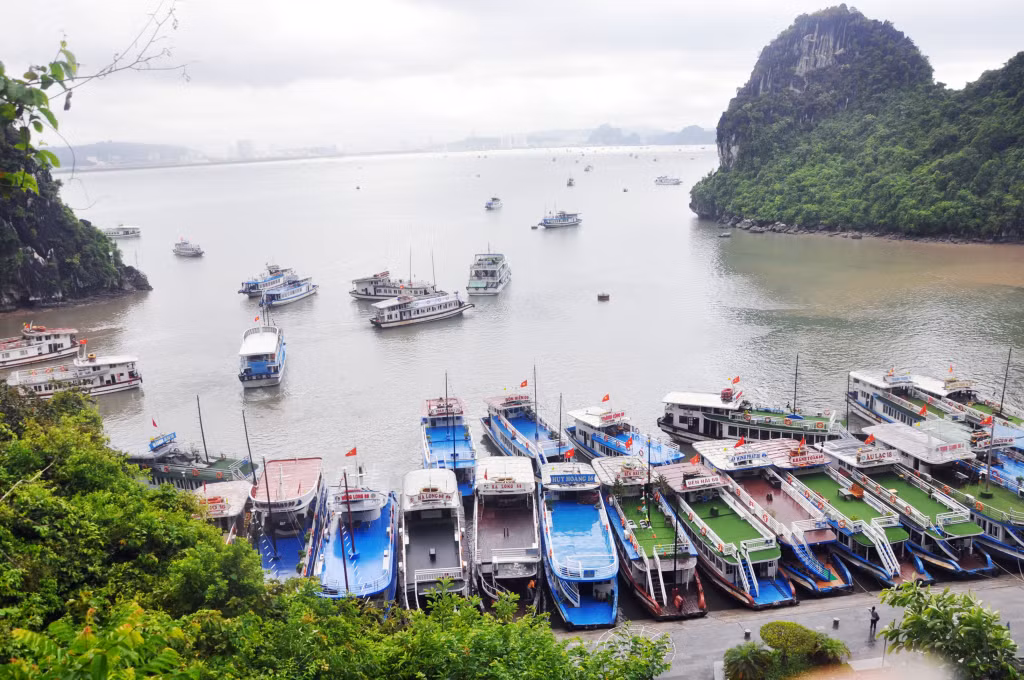 Tàu du lịch đỗ san sát tại khu vực động Thiên Cung - Đầu Gỗ trên Vịnh Hạ Long vào những ngày cao điểm.