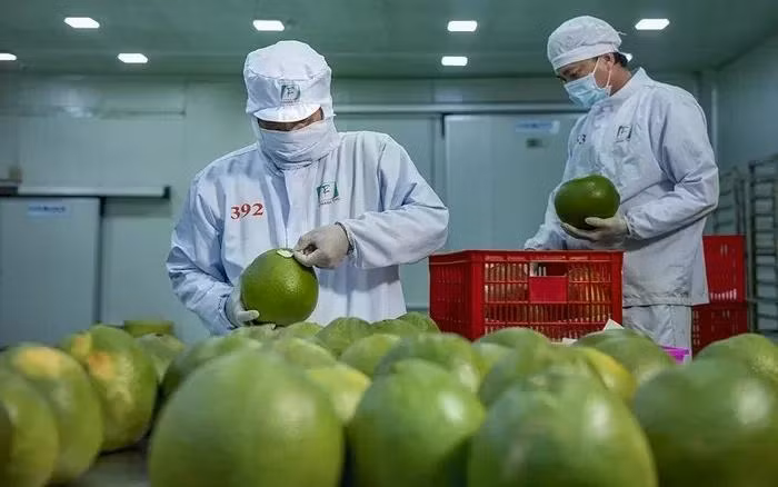 Doanh nghiệp cần thay đổi tư duy kinh doanh trong bối cảnh mới để tận dụng cơ hội từ Hiệp định RCEP. Ảnh: Thanh Tùng