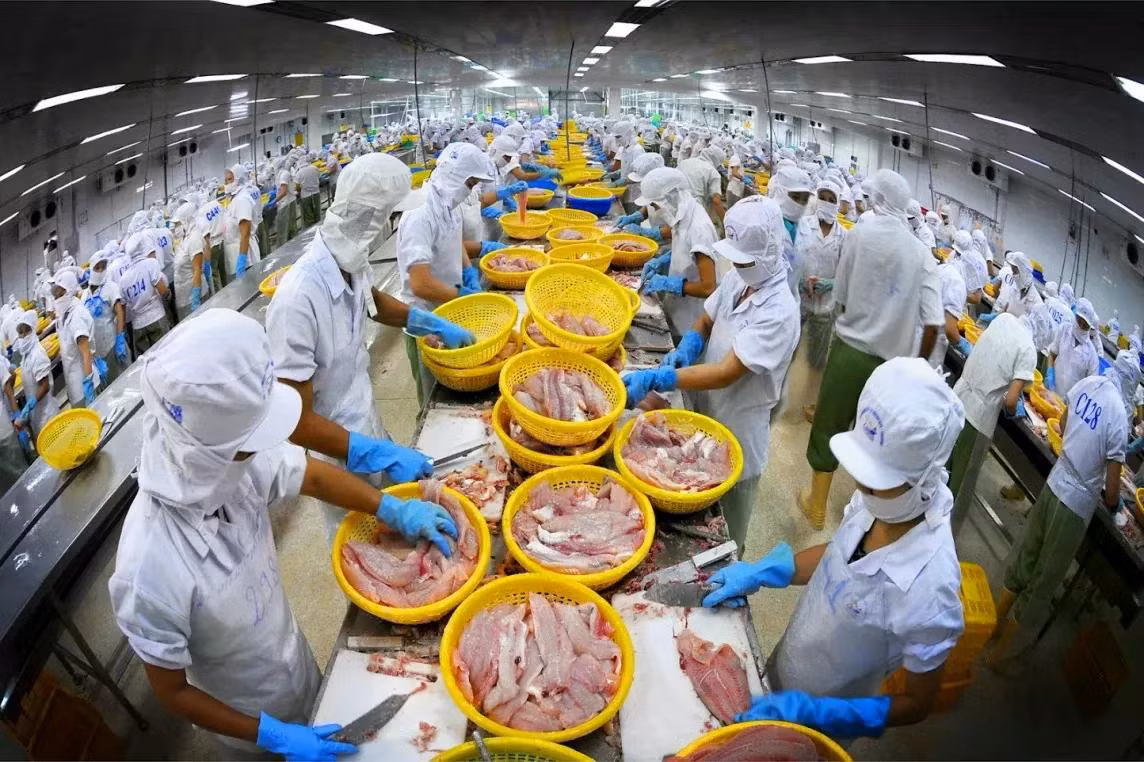 Ngành thủy sản Việt Nam được kỳ vọng sẽ tiếp tục đà tăng trưởng trong nửa cuối năm 2024. (Ảnh: VASEP)