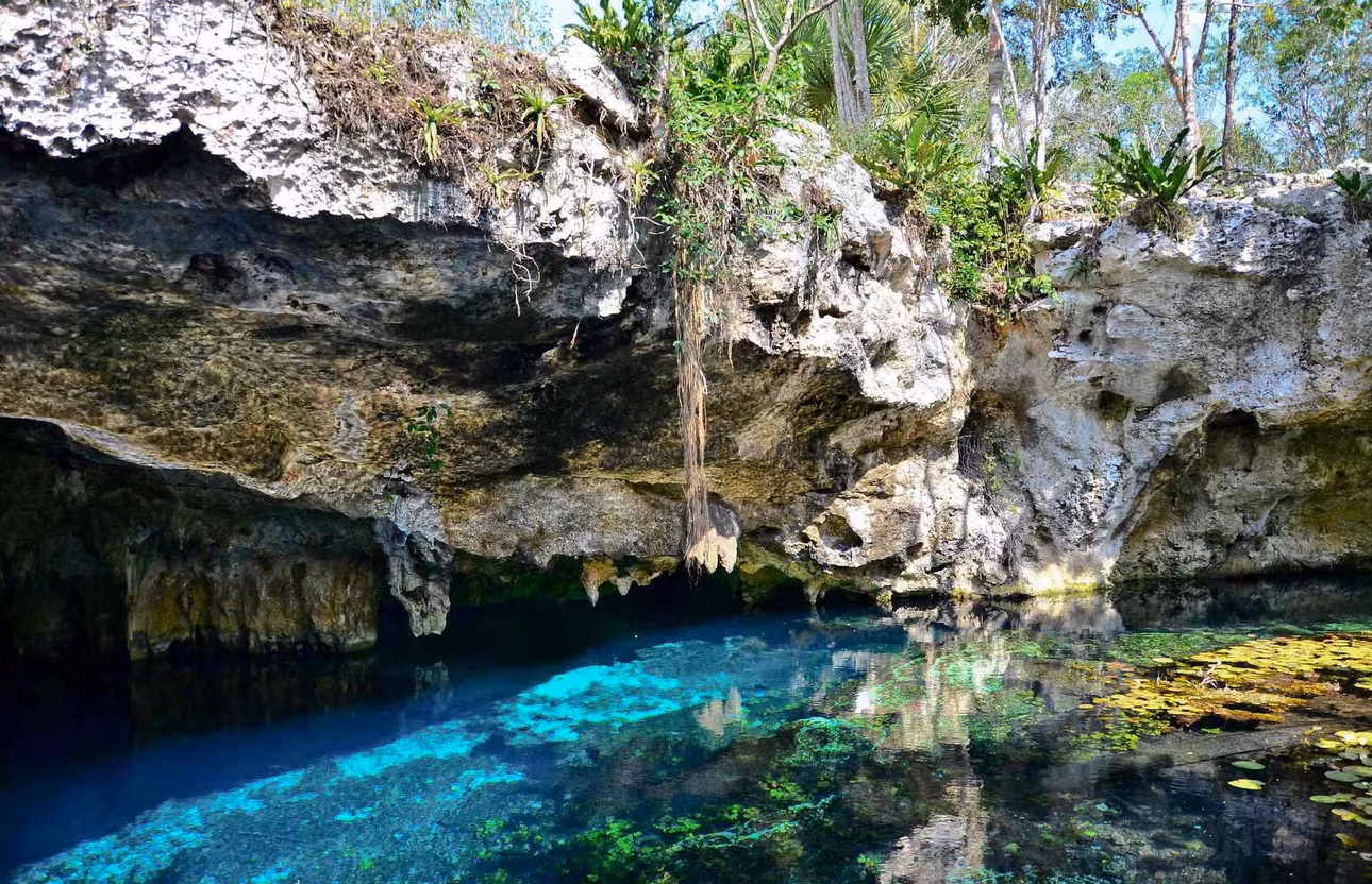 Gran Cenote, Mexico: Nằm cách trung tâm thành phố Tulum hơn 4km, Gran Cenote là một trong những hố sụt phổ biến nhất ở Mexico. Gran Cenote bao gồm 1 hang động lớn, 1 hang động nhỏ hơn và 1 khu vực nơi bạn có thể ngồi và chụp ảnh.