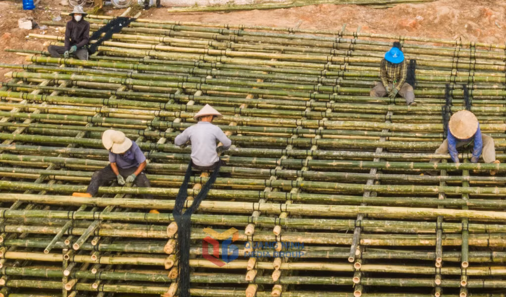 Nhiều hộ tiếp tục khôi phục mảng bè dể sản xuất cũng như cứu con giống, anh giang, hà quảng yên