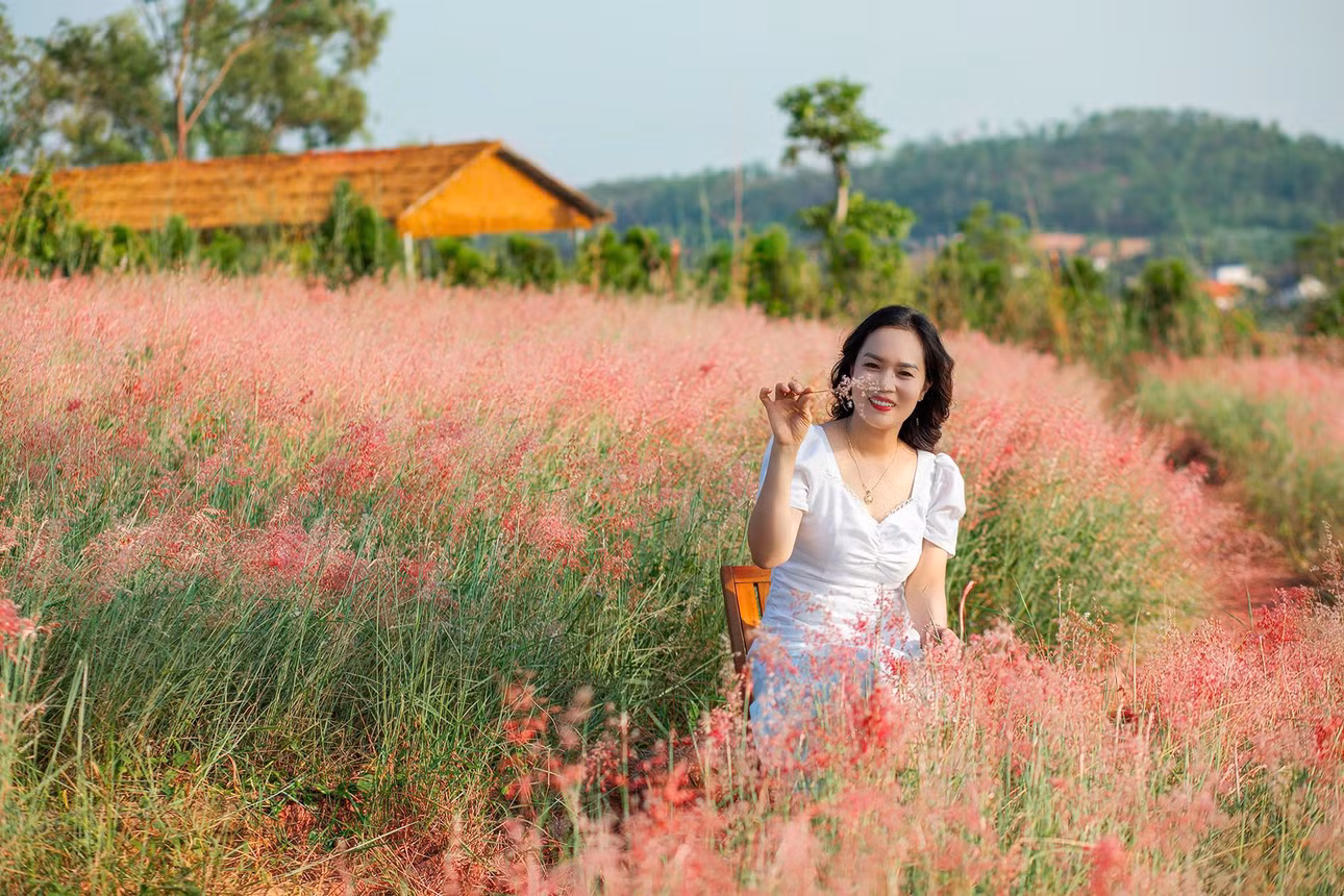 Mỗi mùa, đồi cỏ hồng lại mang một vẻ đẹp khác nhau