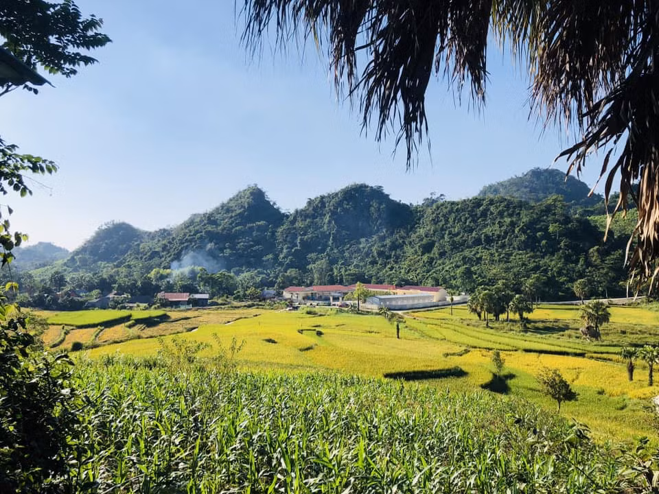 Đường đi có nhiều đoạn cua và khuất, du khách nên sử dụng xe có động cơ khỏe. Nếu đi xe máy, du khách cần chọn xe số vì đường gần đến bản có những đoạn khá dốc.