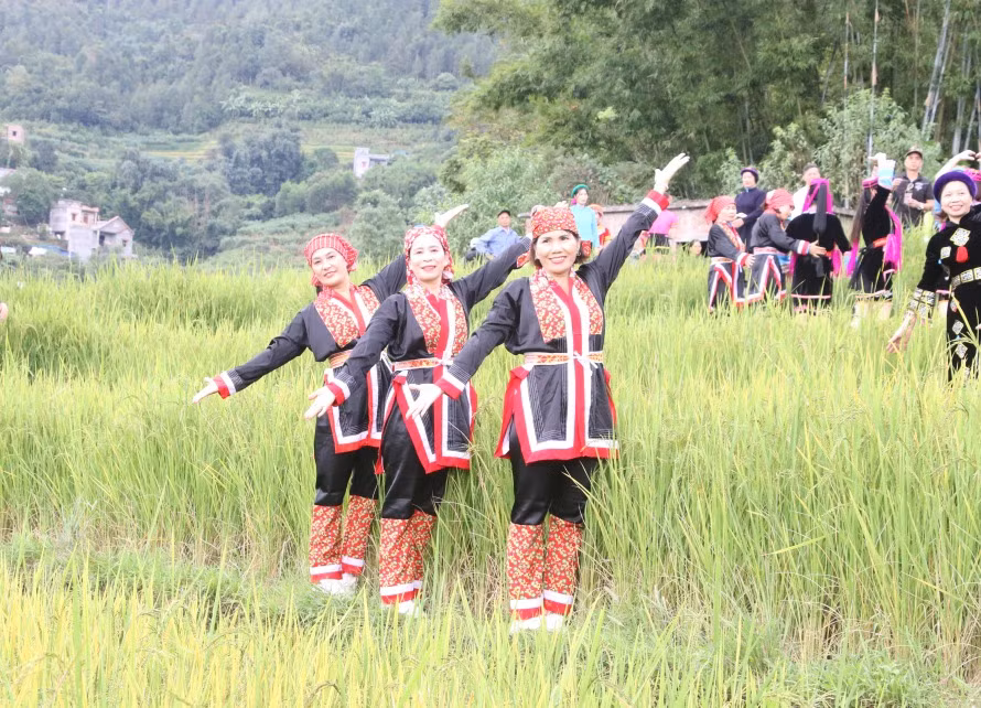 Du khách check in với ruộng lúa bậc thang trong khuôn khổ Hội Mùa vàng Bình Liêu năm 2023.