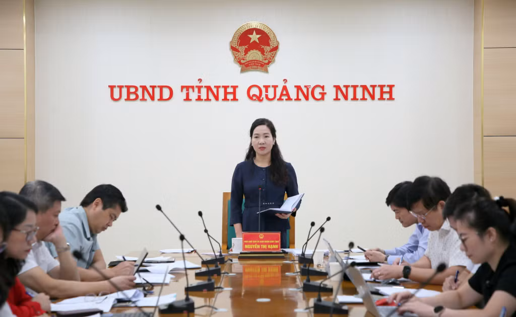 Đồng chí Nguyễn Thị Hạnh, Phó Chủ tịch UBND tỉnh cho ý kiến kết luận cuộc họp.