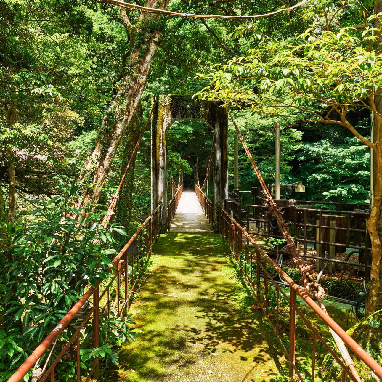 Ảnh: Ochiairo