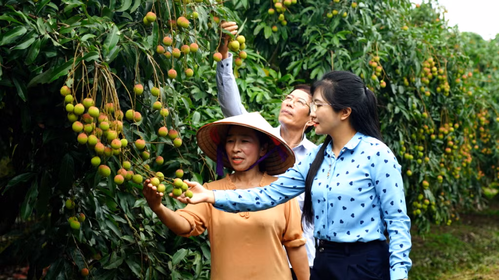 Học và làm theo Bác, đời sống người dân phường Phương Nam (TP Uông Bí) ngày càng sung túc hơn.