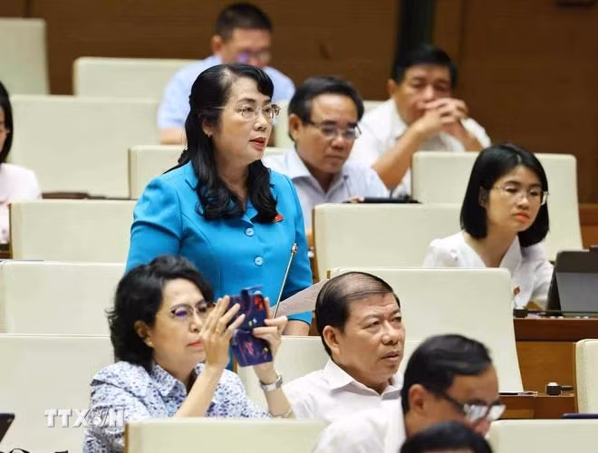 Đại biểu Quốc hội tỉnh Thái Bình Trần Khánh Thu phát biểu ý kiến. (Ảnh: Minh Đức/ TTXVN)