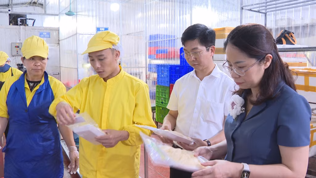 Các HTX tại huyện Đầm Hà nhận được sự quan tâm hỗ trợ của chính quyền, đoàn thể địa phương.