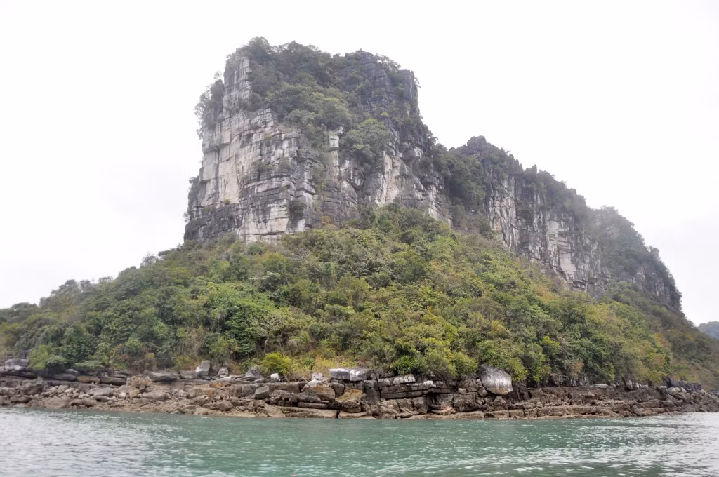 Địa hình đa dạng với hàng nghìn đảo đá vôi trên biển cũng góp phần tạo ra những loài đặc hữu của Quảng Ninh.