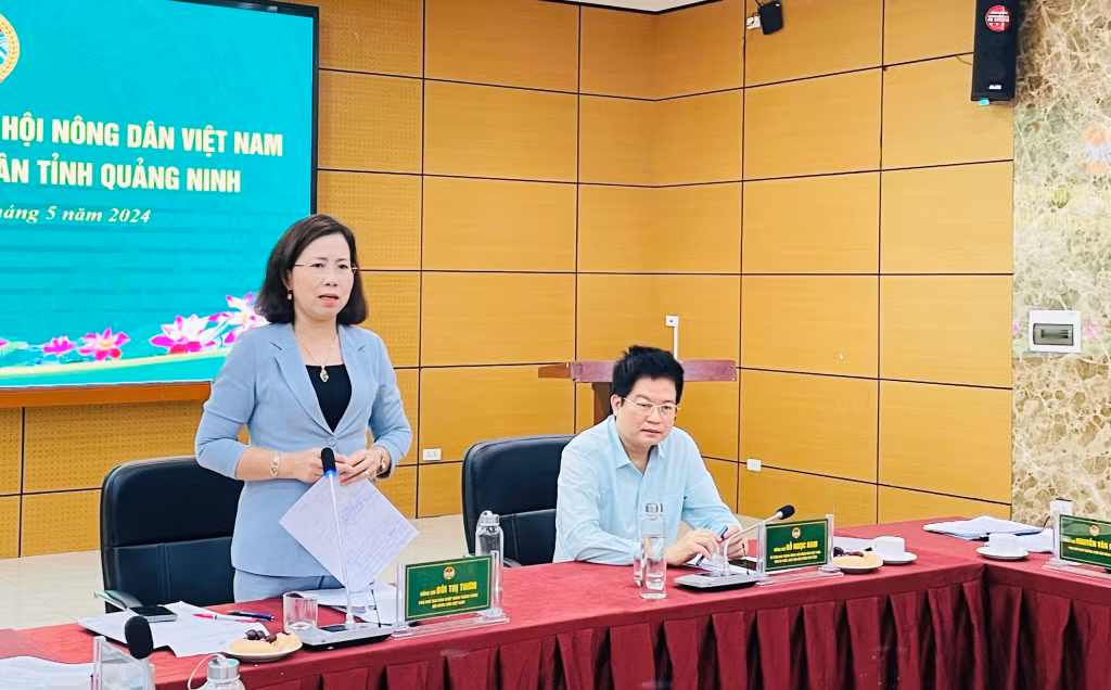 Đồng chí Bùi Thị Thơm, Phó Chủ tịch BCH Trung ương HND Việt Nam, phát biểu kết luận buổi làm việc.