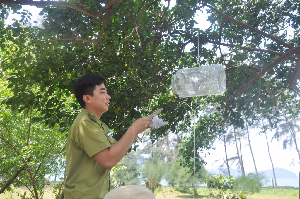Các Trạm kiểm lâm Ba Mùn, Cái Lim đều có những điểm vớt sóng điện thoại như thế này.
