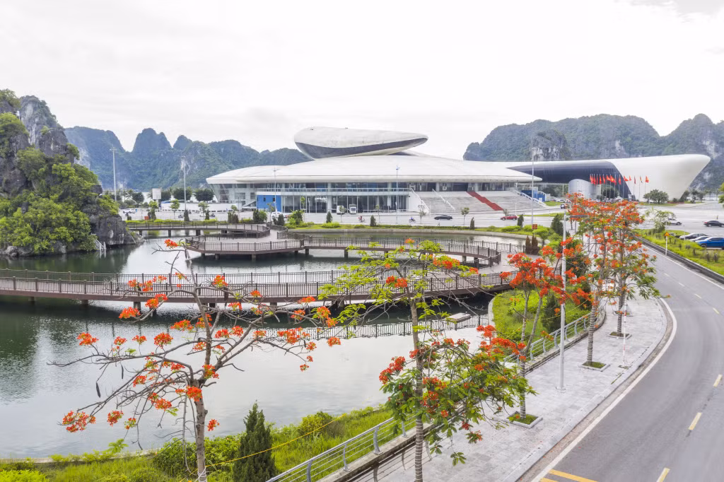 Những chùm phượng đỏ tươi như điểm tô sắc màu rực rỡ cho các tuyến phố.