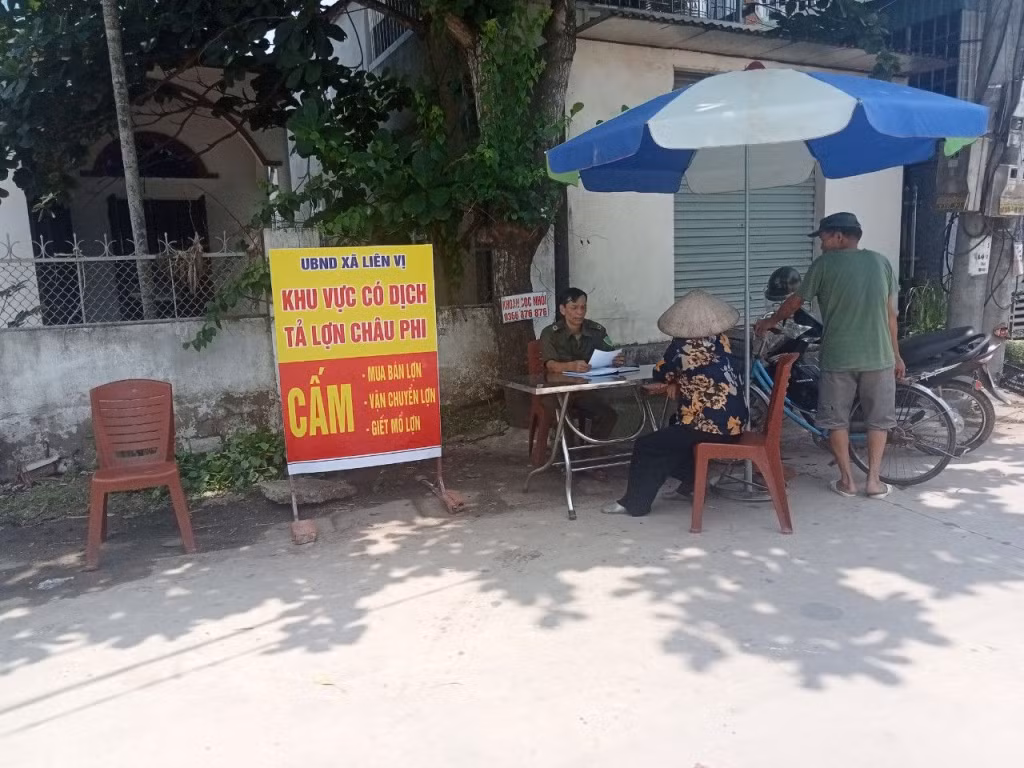 Lập chốt khoanh vùng toàn bộ lối ra vào xã Liên Vị, không cho vận chuyển lợn ra, vào khu vực có dịch.