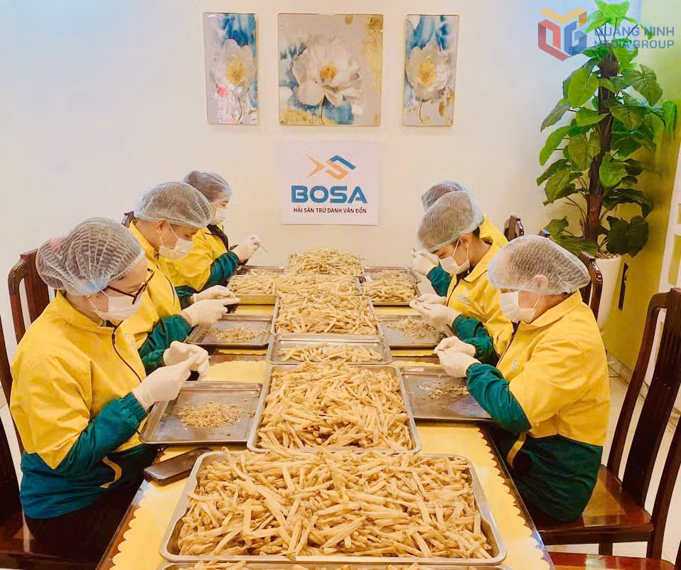 Công nhân Công ty TNHH Thanh Tùng Vân Đồn sơ chế sản phẩm sá sùng khô Vân Đồn. Ảnh: Mạnh Trường
