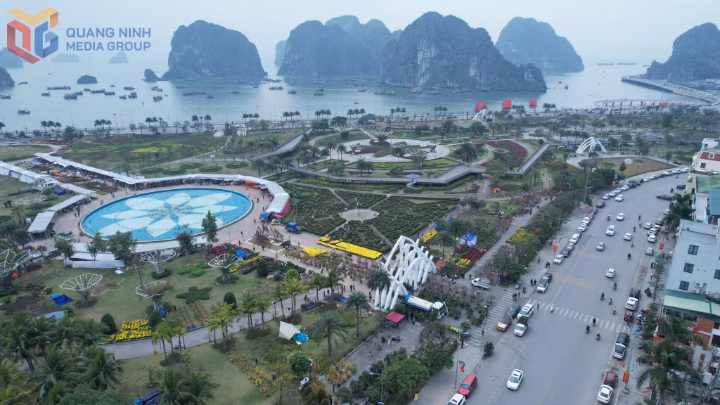 Chợ hoa Xuân phường Hồng Gai. 