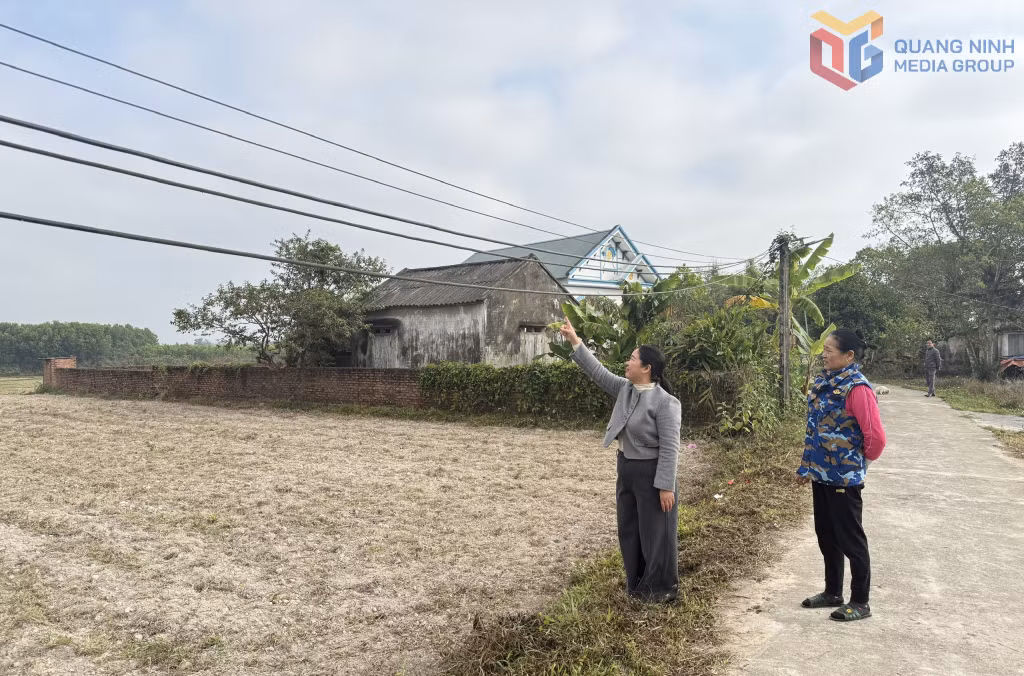 Dây điện võng thấp, tiềm ẩn nguy cơ mất an toàn.