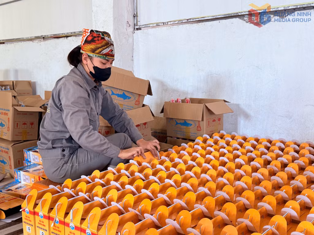 Đóng gói sản phẩm nước mắm Cái Rồng chuẩn bị cung ứng ra thị trường trong dịp Tết Nguyên đán Bính Ngọ.