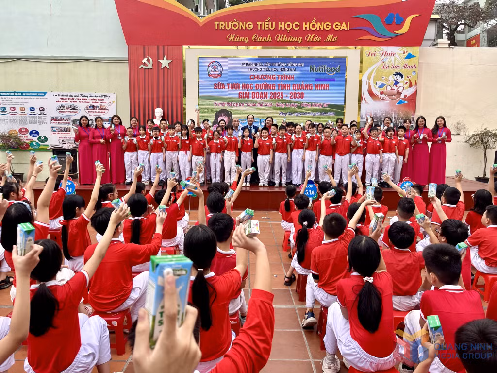Trường Tiểu học Hồng Gai là trường học đầu tiên trong toàn tỉnh triển khai uống sữa tại trường cho học sinh theo Nghị quyết số 86/2025/NQ-HĐND của HĐND tỉnh.