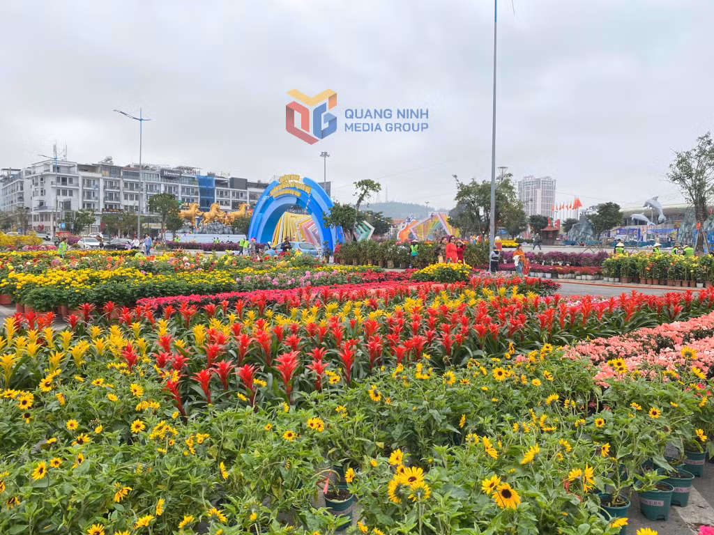 Không gian hoa rực rỡ sắc màu.