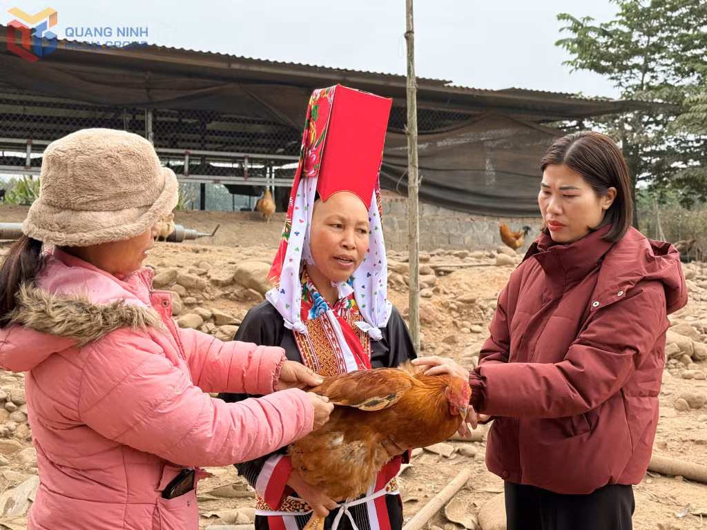 Cán bộ HND xã Đông Ngũ (phải) trao đổi với hội viên, nông dân về đảm bảo ATTP trong chăn nuôi gà thương phẩm.