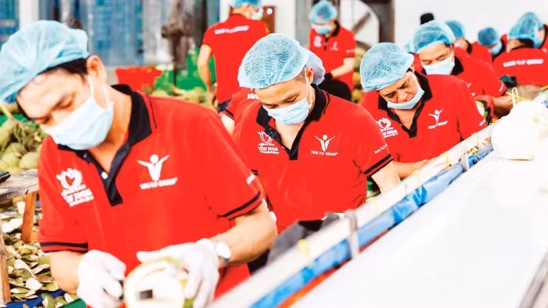Sơ chế dừa xuất khẩu tại Công ty Vina T&amp;T Group. (Ảnh: MINH ANH)