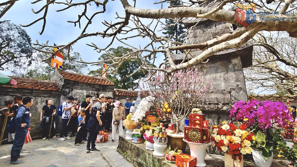 Khung cảnh cổ kính của những toà tháp cổ, những cây đại cổ thụ...