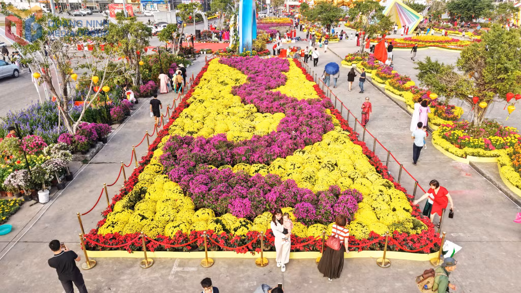 Các loài hoa cùng khoe sắc tại Đại lộ hoa bên bờ Vịnh Hạ Long, tạo nên bức tranh xuân rực rỡ, tươi mới giữa không gian ánh sáng lung linh.