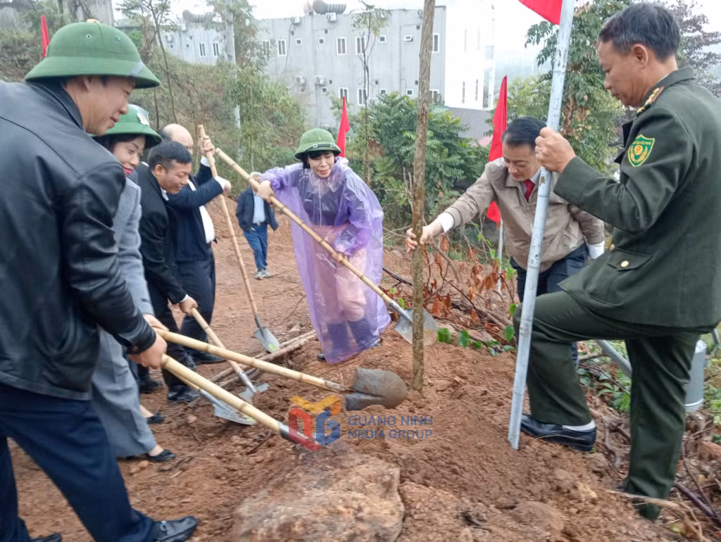 Lãnh đạo các sở, ngành cùng lãnh đạo phường Tuần Châu thực hiện trồng cây sau Lễ phát động.