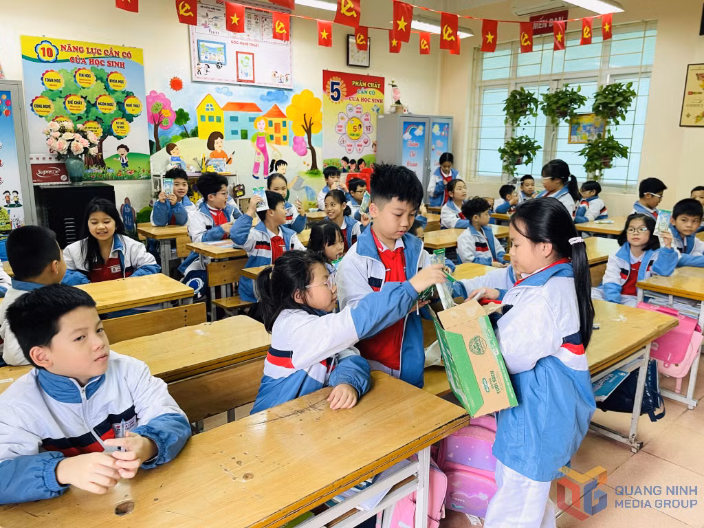 Học sinh thu gom vỏ hộp sữa để đảm bảo vệ sinh môi trường.