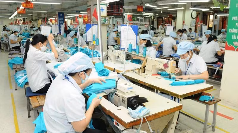 EVFTA giúp nhiều sản phẩm từ Việt Nam sang EU được lợi.