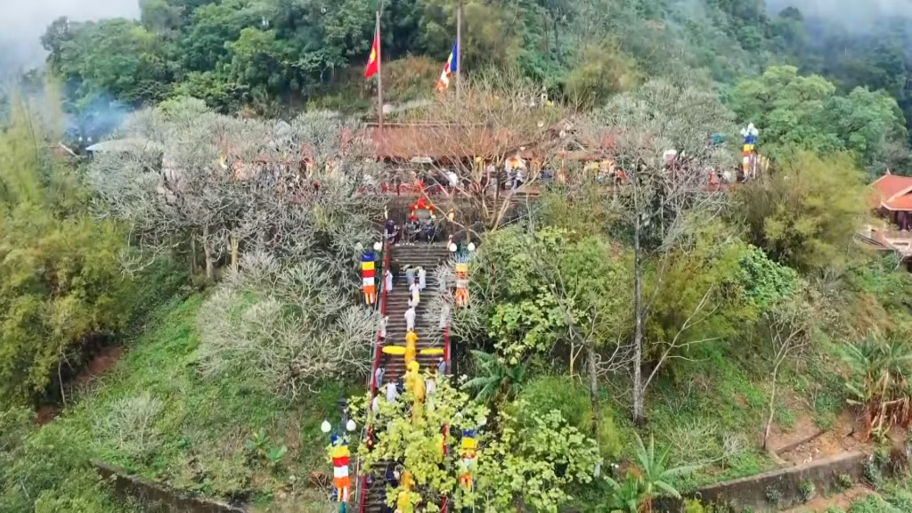 Yên Tử có thảm thực vật phong phú, đa dạng.