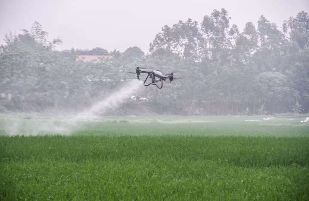 Sử dụng thiết bị bay không người lái trong phun thuốc bảo vệ thực vật tại xã Việt Dân (TX Đông Triều). Ảnh: Cổng TTĐT Đông Triều.