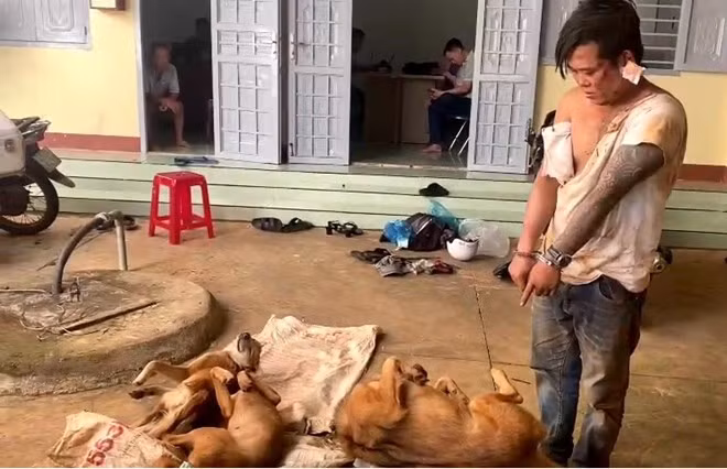 Nguyễn Ngọc Dũng sau khi có hành vi trộm chó đã bị Công an bắt giữ. Ảnh: Sỹ Đức