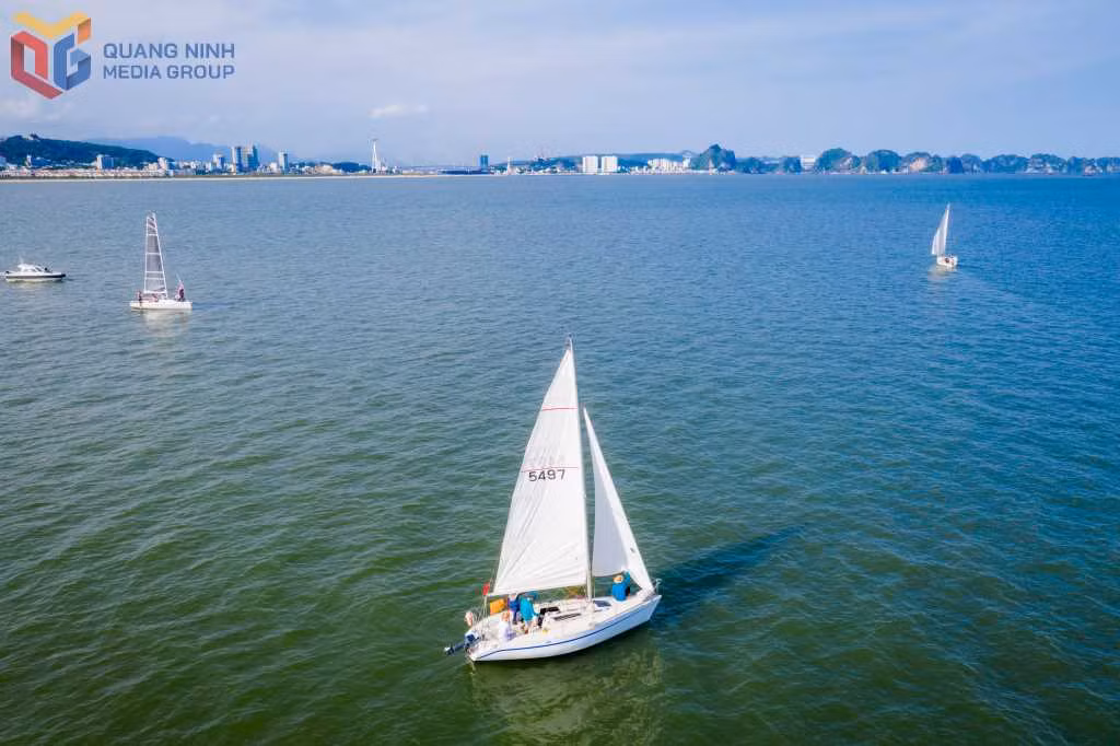 Năm 2023, Câu lạc bộ thuyền buồm tổ chức chương trình diễu hành với sự tham gia của 13 chiếc thuyền buồm trong và ngoài nước. Ảnh: Hoàng Quỳnh
