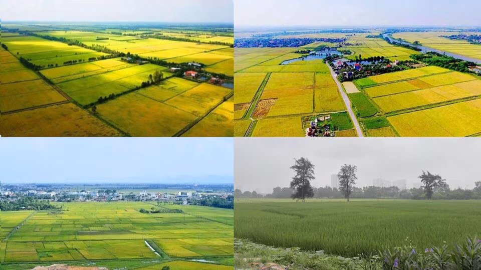 Việc Nhà nước thu hồi đất nông nghiệp để thực hiện các dự án phát triển kinh tế, xã hội đã trở thành một chủ đề nóng trong nhiều năm qua. Đồ họa: Quỳnh Anh