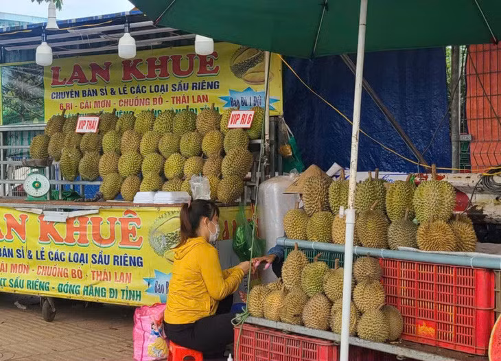 Một địa điểm bán sầu riêng nằm trên đường Phạm Văn Đồng (TP.HCM). Tại đây, hàng "VIP" có giá khá cao so với mặt bằng chung - Ảnh: NHẬT XUÂN