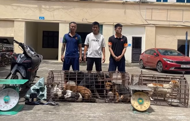3 đối tượng trộm chó: Lê Doãn Thực, Lê Đức Chung và Ngô Văn Tuấn cùng số chó trộm cắp. Ảnh: CATH