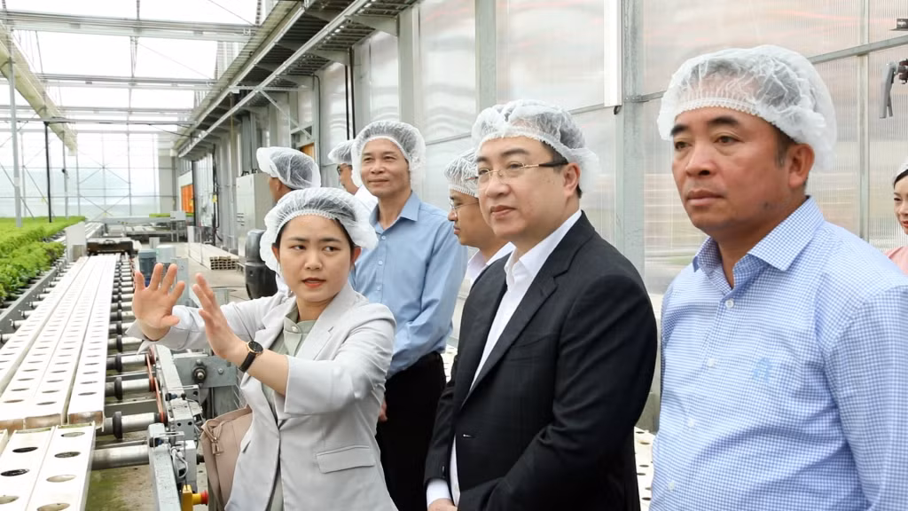 Đoàn công tác của tỉnh Quảng Ninh khảo sát nông trại công nghệ cao của Công ty cổ phần Ad One Farm, tỉnh Hoakkaido.