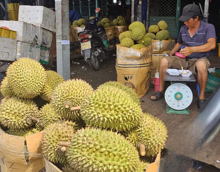 Giá sầu riêng bán ra năm nay được nhiều người bán cho biết giảm nhiều so với năm ngoái - Ảnh: N.TRÍ